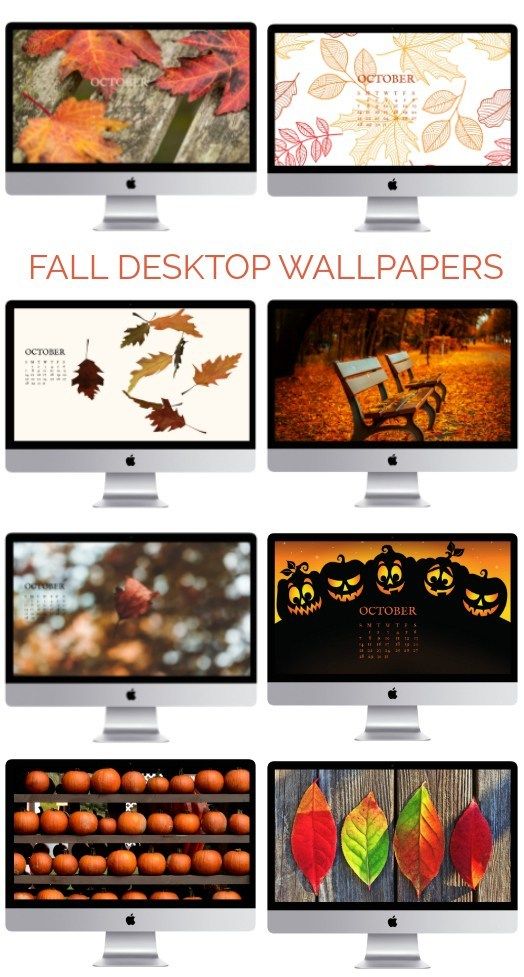 free fall desktop wallpaper for mac